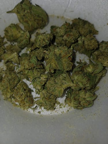 Oreoz - Bulk - Indica photo review