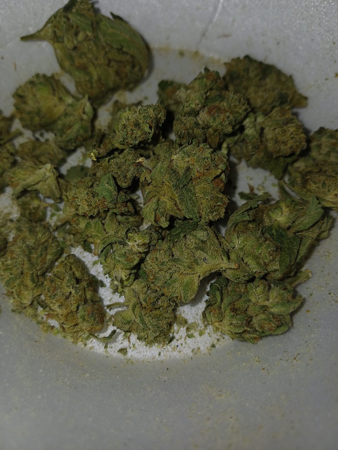 Customer photo review of Oreoz - Bulk - Indica