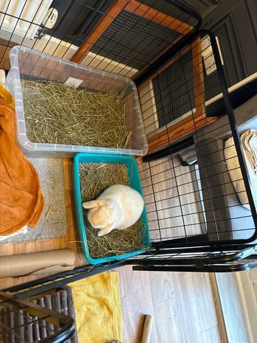 Customer photo review of Meadow Hay Box