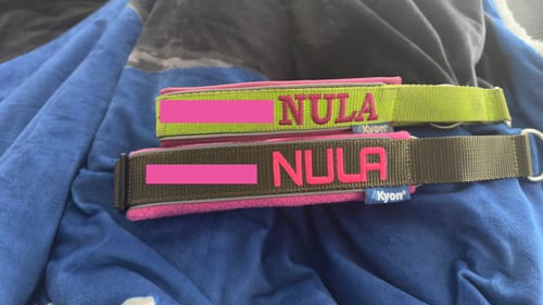 Customer photo review of Neoprene Half-Check Dog Collar with Name - XL | 4Kyon