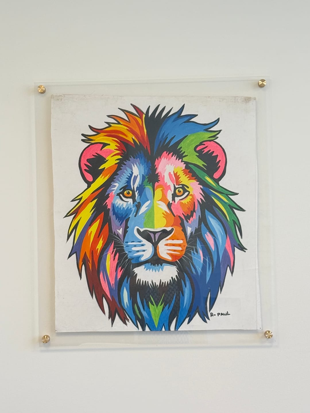 Customer photo review of Floating Acrylic Picture Frames