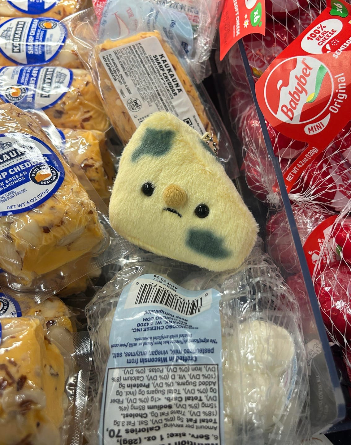 Customer photo review of Forgotten Moldy Parmesan Cheese