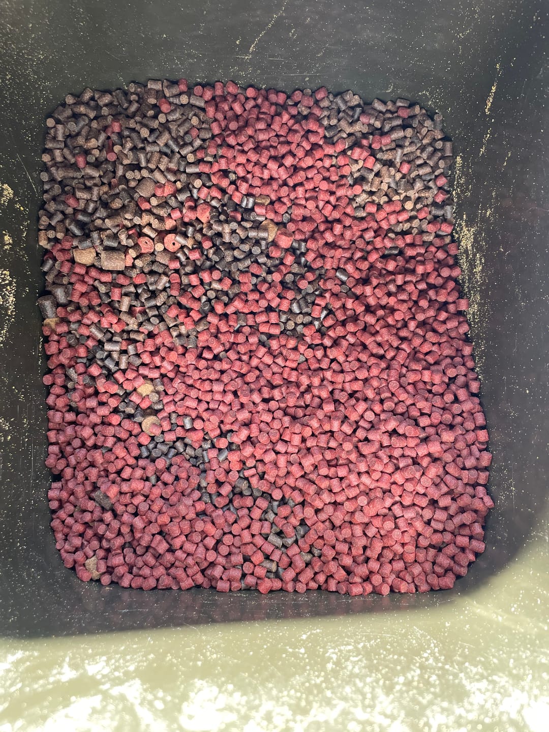 Customer photo review of PREMIUM SELECT (BLACK HALIBUT) - ALLTECH COPPENS