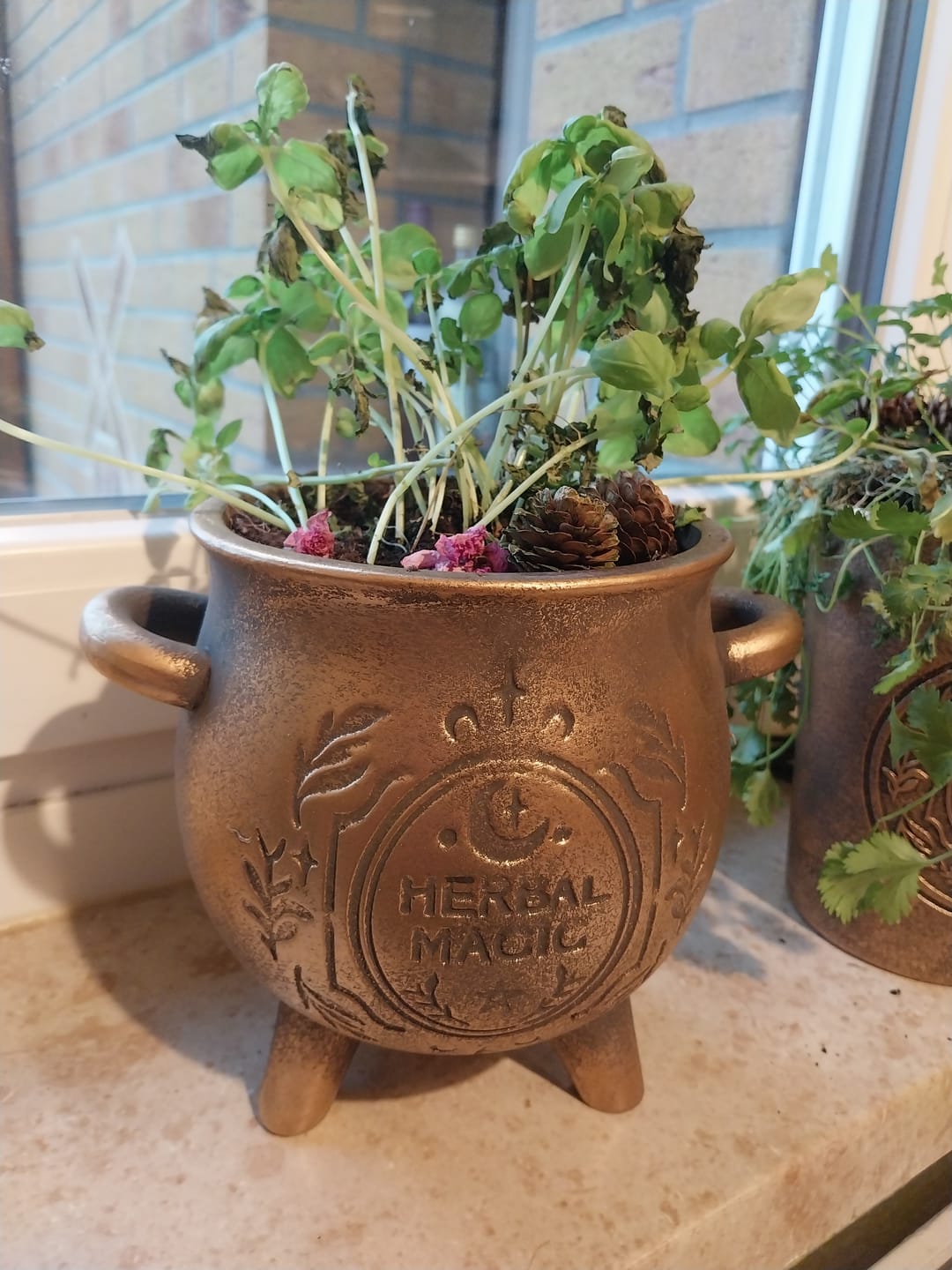 Customer photo review of Herbal Magic Kessel-Blumentopf – Terrakotta Pflanzenkessel in Bronzeoptik