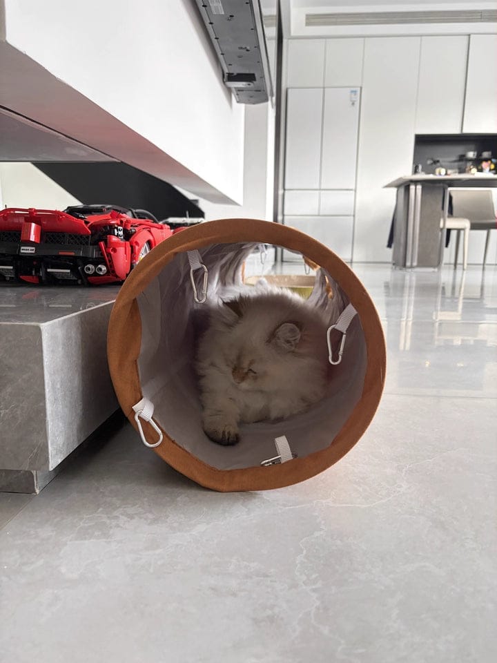 Customer photo review of Foldable Cat Tunnel Toy - With Peephole & Interactive Ball
