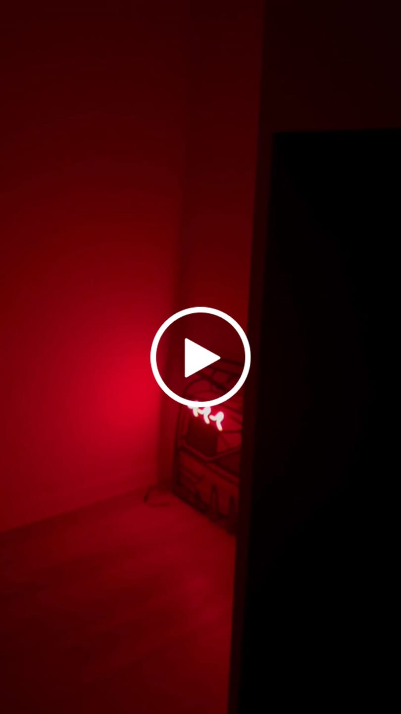 Customer video review of Aventador SVJ Back View Metal Neon Car Wall Art - MTN0262