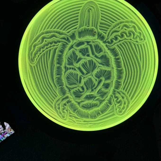 Customer photo review of Lemofuta Smart Zen Garden App-Controlled Sand Art for Meditation