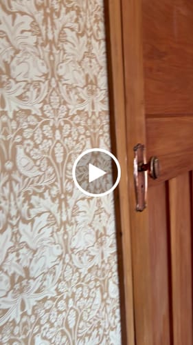 Customer video review of Forest Rabbit Wallpaper - Yellow Ochre