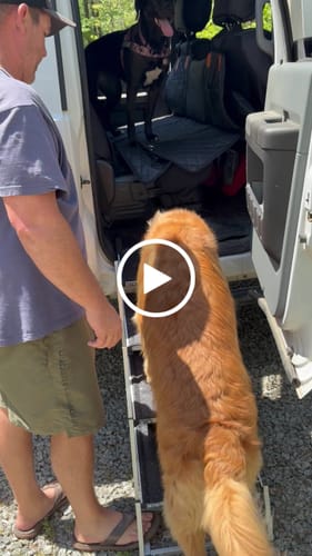 Customer video review of Portable Dog Stairs for RuffRover 2.0