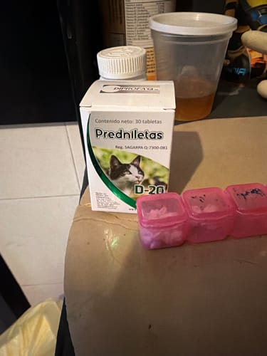Customer photo review of Predniletas