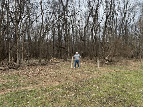 Customer photo review of American Persimmon