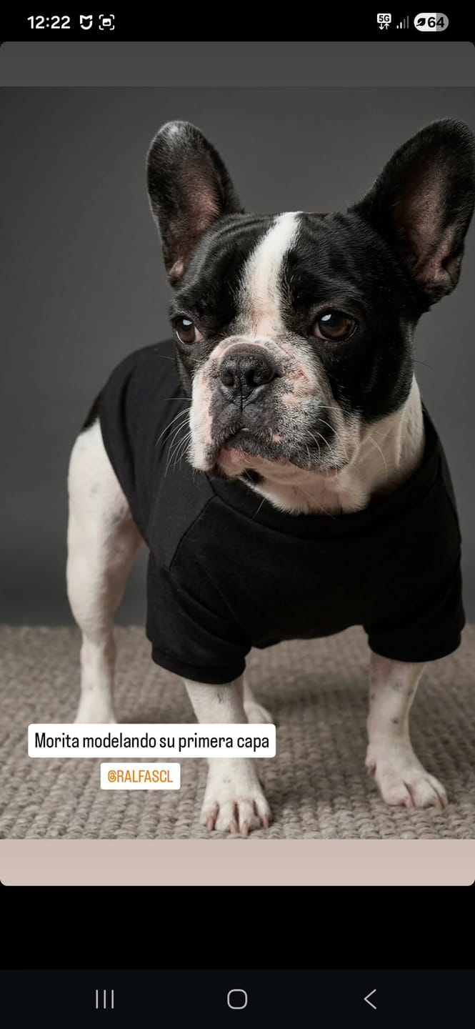 Customer photo review of Polera Térmica Power Stretch™