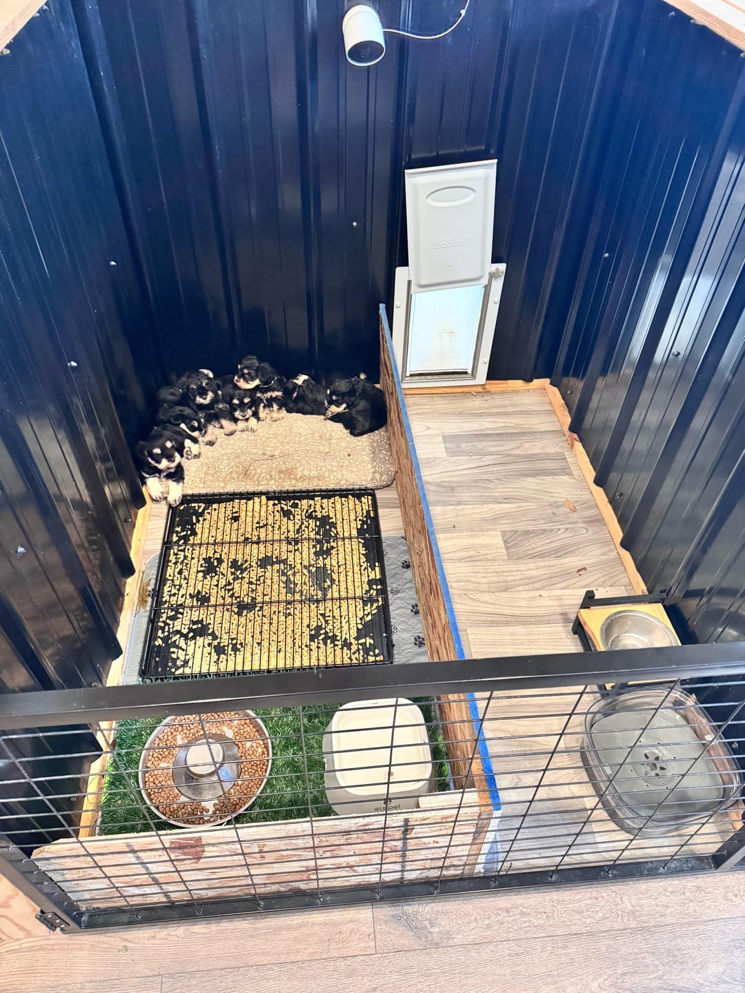 Customer photo review of Little Wolves Potty Tray 22" x 22" - Seconds Discount