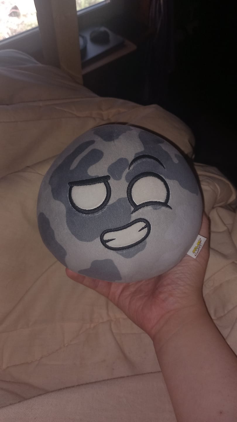 Customer photo review of The SolarBalls Moon Plush