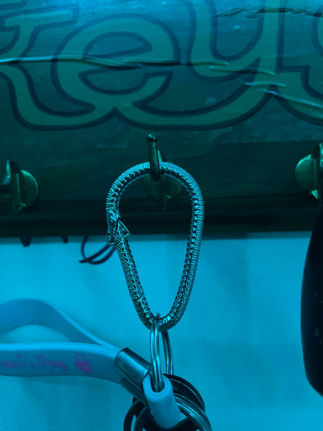 Customer photo review of OUROBOROS CARABINER