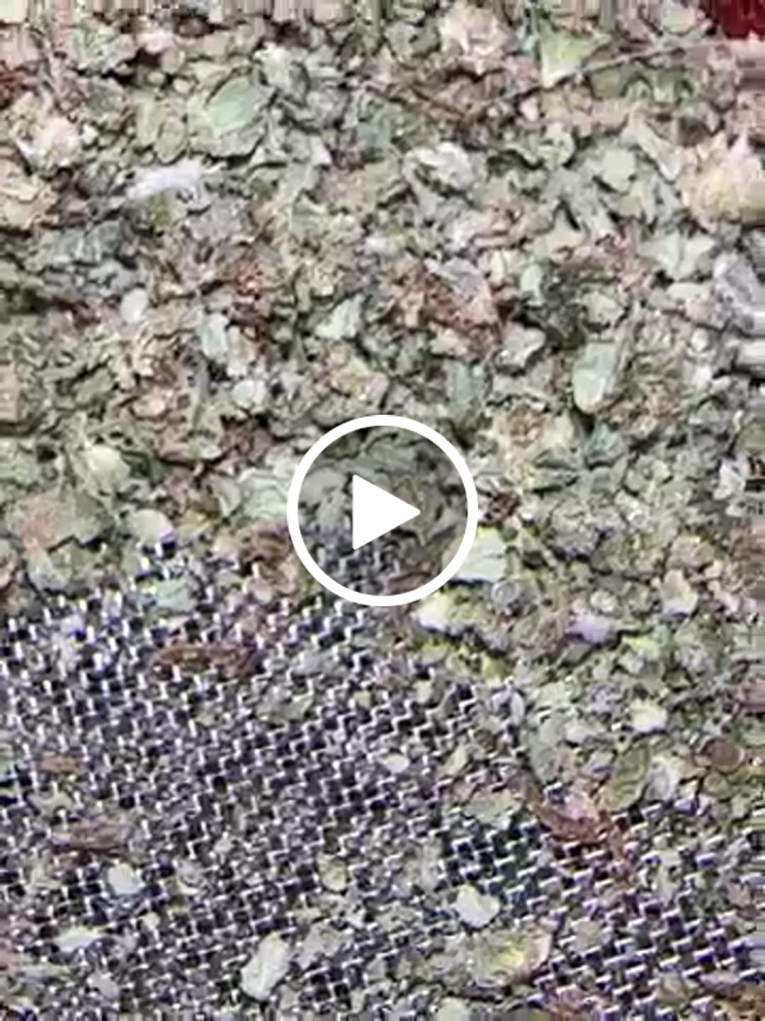 Customer video review of THCa Greenhouse Smalls