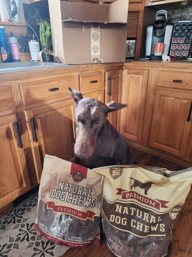 Reviewer's dog sitting in a kitchen behind two large bags of Natural Dog Chews.