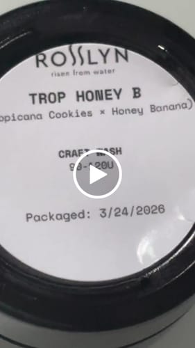 Customer video review of Trop Honey B (Craft Wash)