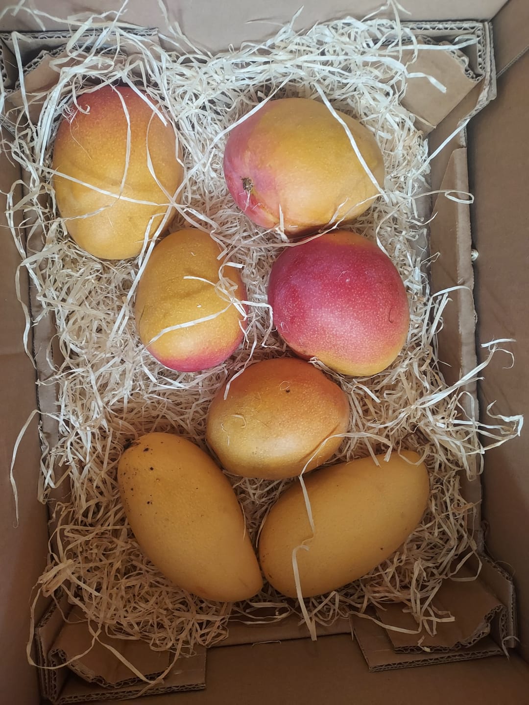 Customer photo review of Mango Haden Bio baumgereift Sonderaktion %