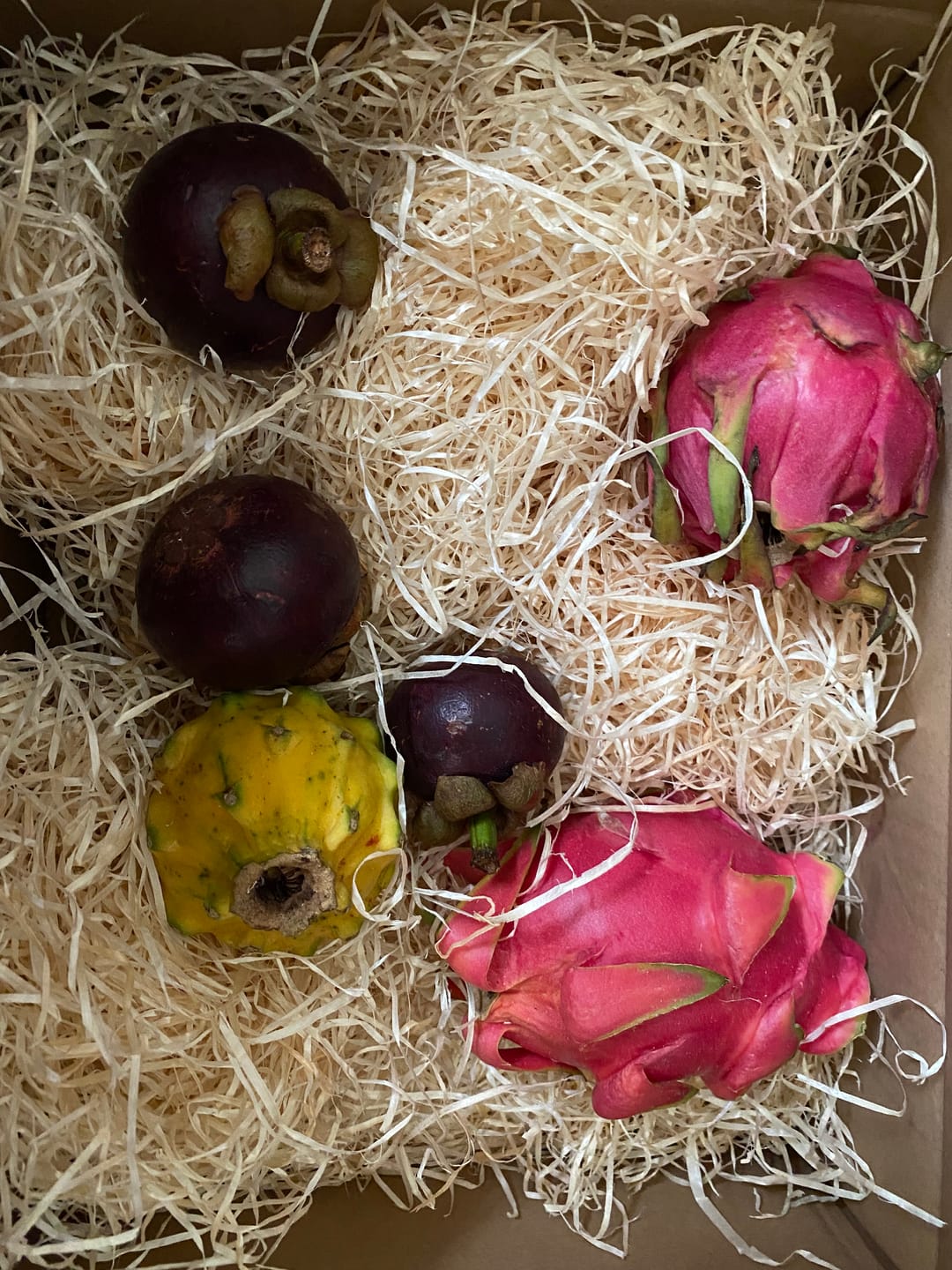 Customer photo review of Drachenfrüchte Trio Box Sonderaktion %