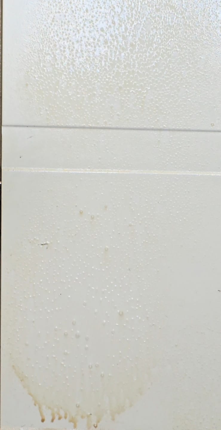 Customer photo review of VANEX - SMOKER
