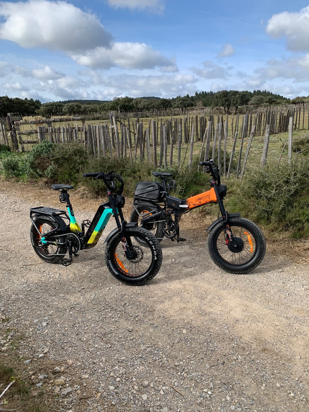 Customer photo review of Lankeleisi RX800 Plus 2025 Version 1000W 20" Fat Bike 960Wh Full Suspension Electric Bike with Torque Sensor 48V 20Ah Battery SUV E-Bike [Pre-Order]