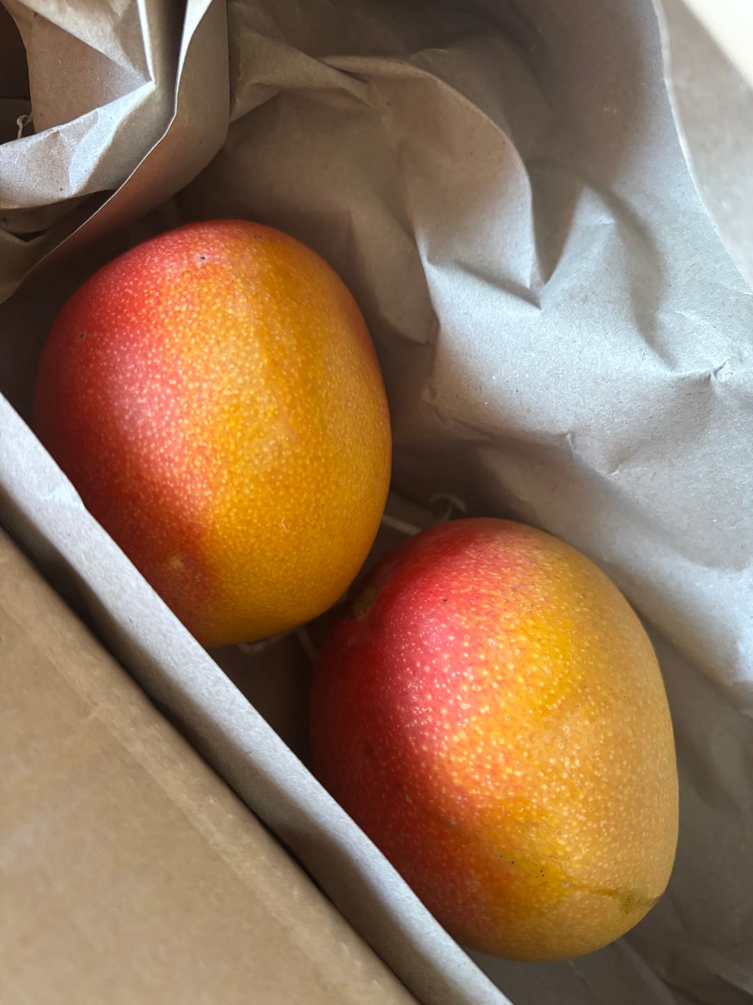 Customer photo review of Mango Haden Bio baumgereift Sonderaktion %