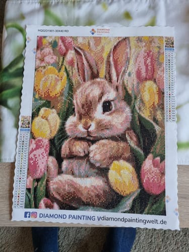 Kundenbewertung mit Foto zu Süßes Kaninchen, das in den Tulpen liegt