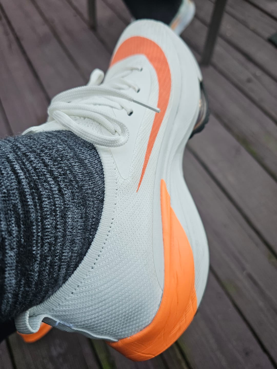 Customer photo review of GO Flux R170