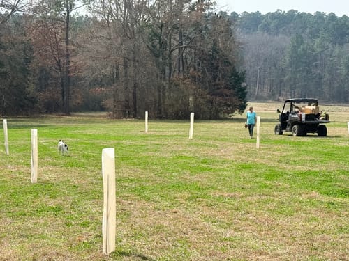 Customer photo review of Hybrid Chestnut