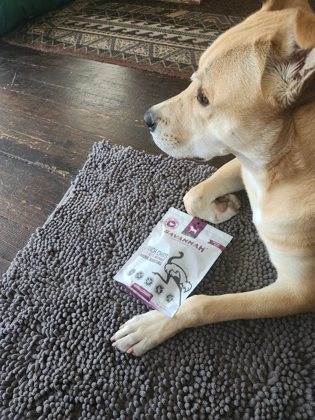 Customer photo review of Ostrich Chips with Beetroot (2.5oz): The Flavorful, Immune System Supporting Treat for Dogs
