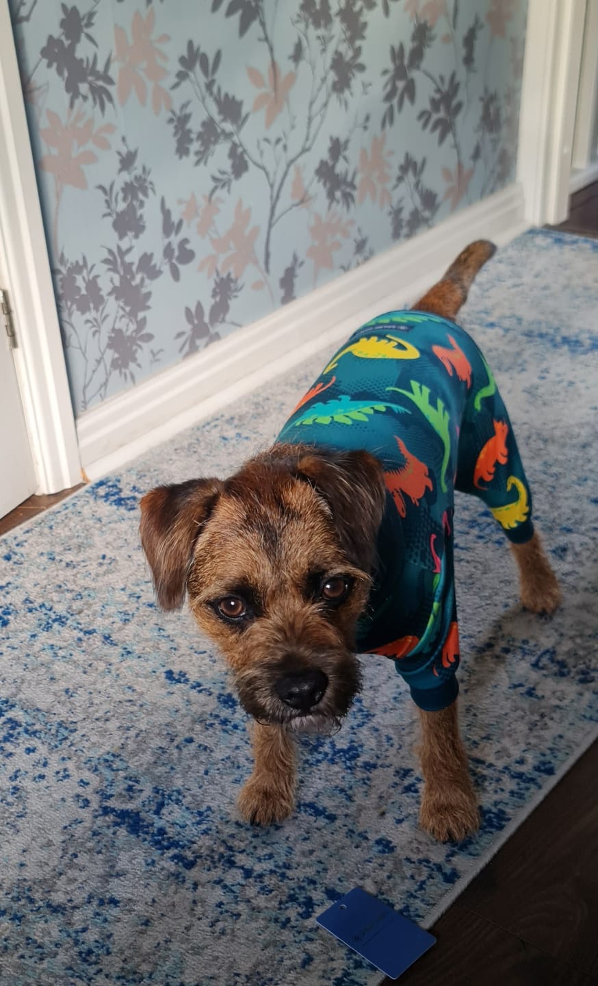 Customer photo review of Dog Pajama - Dinosaurs