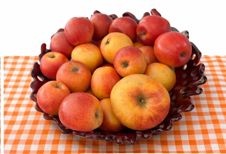 Customer photo review of Apfel "Braeburn" regional Bio vom Obstgut Erletz