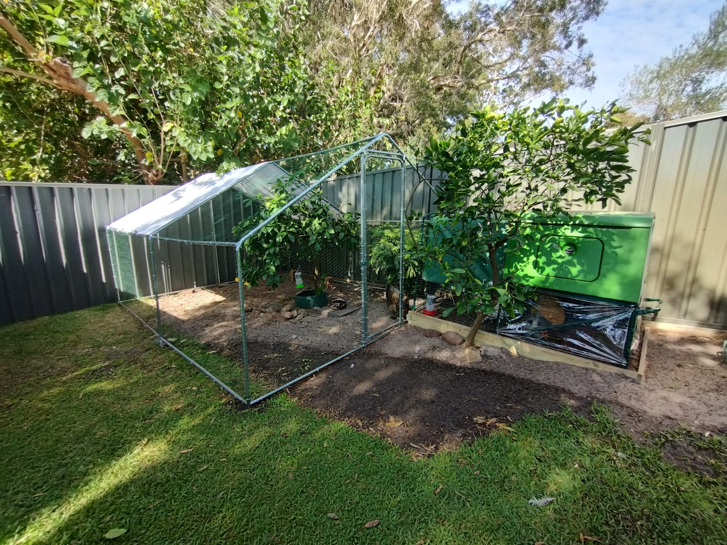 Customer photo review of Pets Gear Metal Galvanised Steel Walk In Chicken Coop 6m x 3m