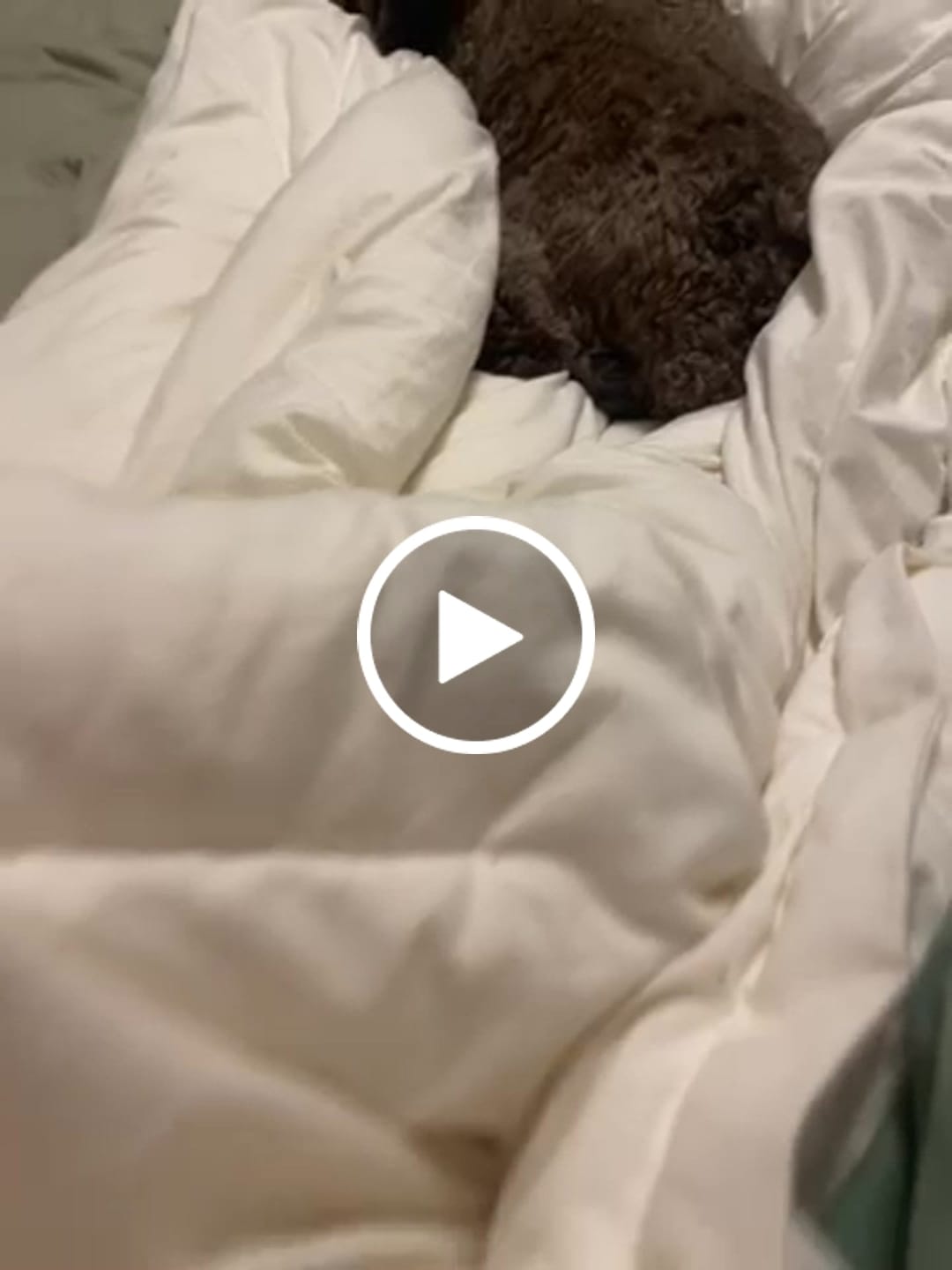 Customer video review of Temperature Controlling Comforter