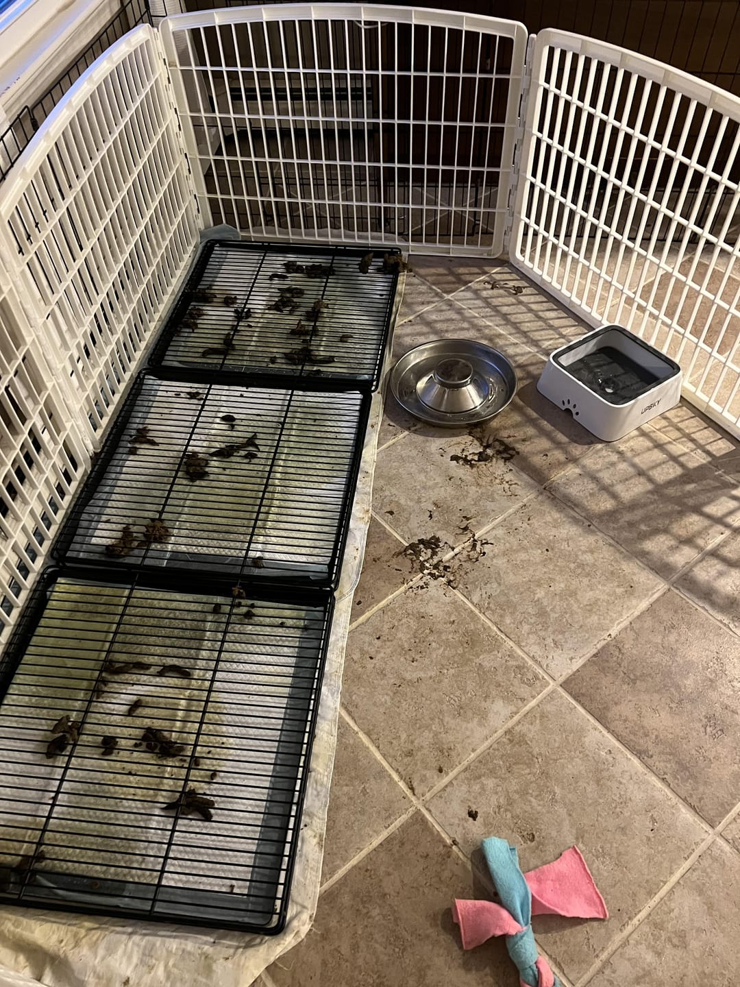 Customer photo review of Little Wolves Potty Tray 22" x 22"