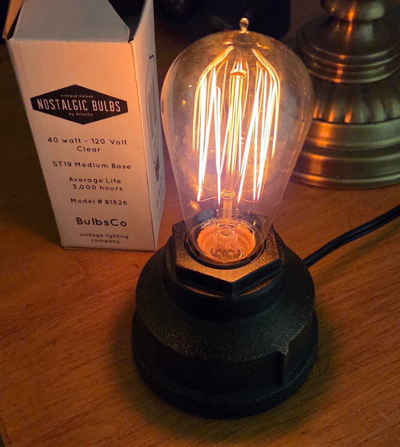 Customer photo review of Edison Bulb - 40 Watt - 4.95 In. Length - Squirrel Cage Filament - Clear