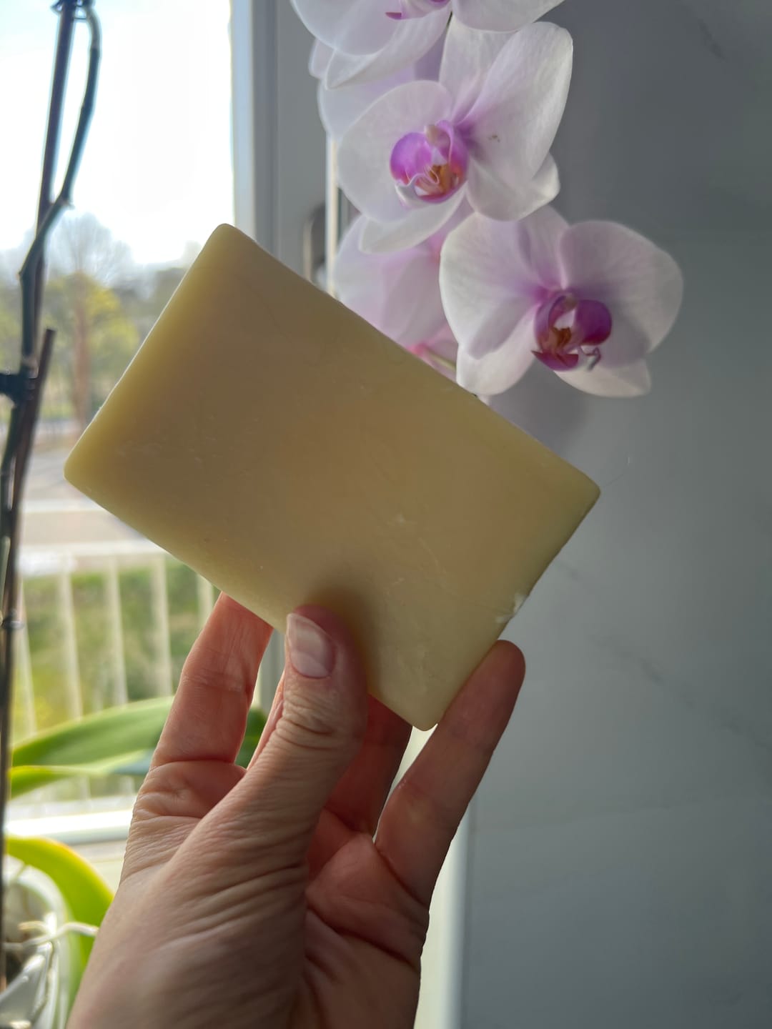 Customer photo review of 8% Apple-Wonder Haarseife (Haarglanz & fluffig-weiches Haar)
