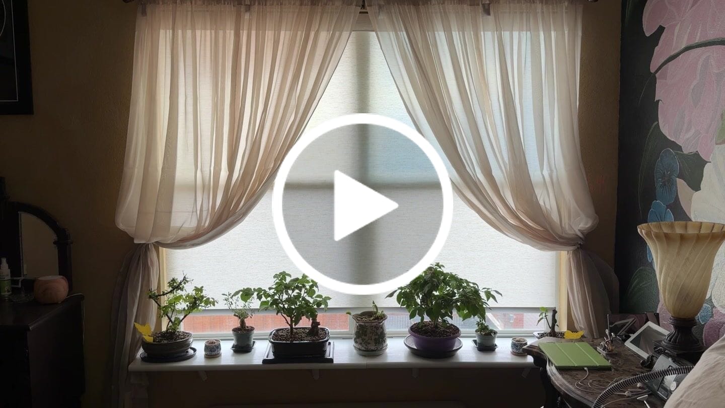 Customer video review of SmartWings Motorized Light Filtering Roller Shades 50% Blackout PVC Free Sunscreen