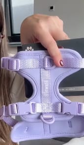 Customer photo review of Arnés Paws