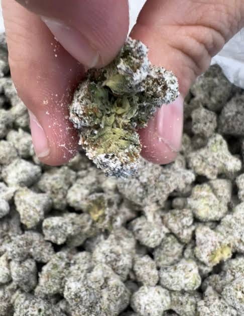 Customer photo review of Snow Capz 28 Grams