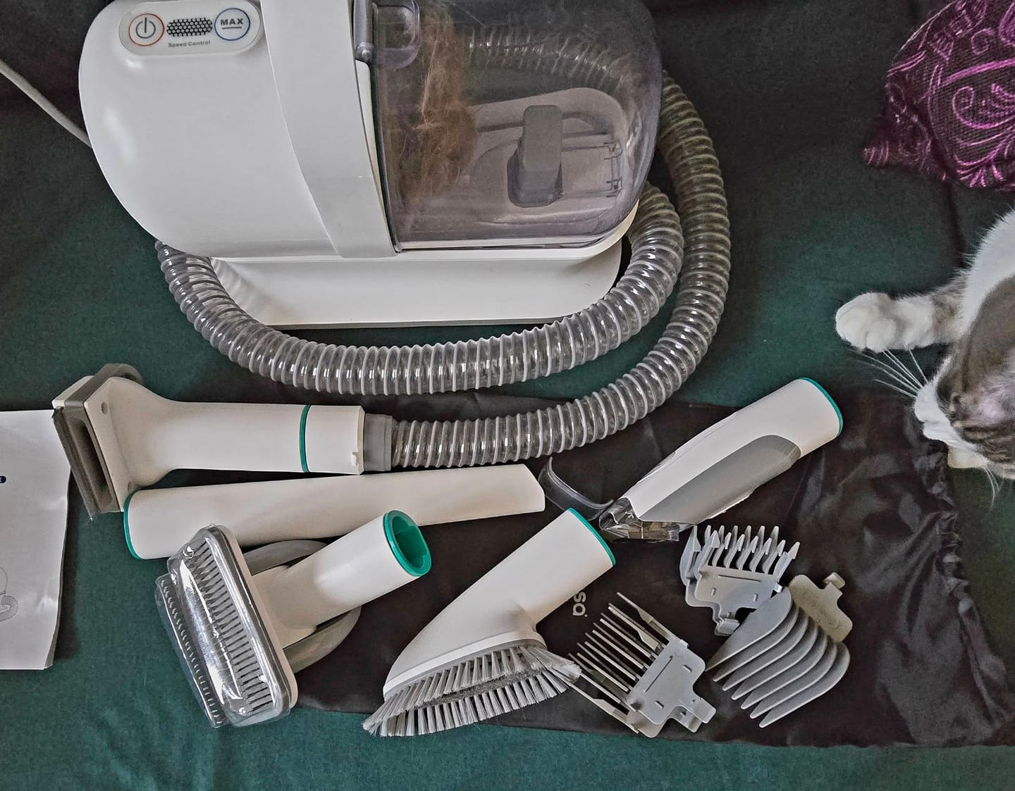 Customer photo review of Neakasa P1 Pro 5-in-1 Pet Grooming Vacuum for Dogs Cats