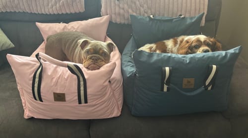 Customer photo review of The Dog Dock V2 New & Improved with ISO Fix