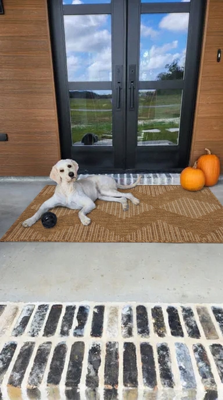 Customer photo review of Skyward Indoor/Outdoor Rug - Brown