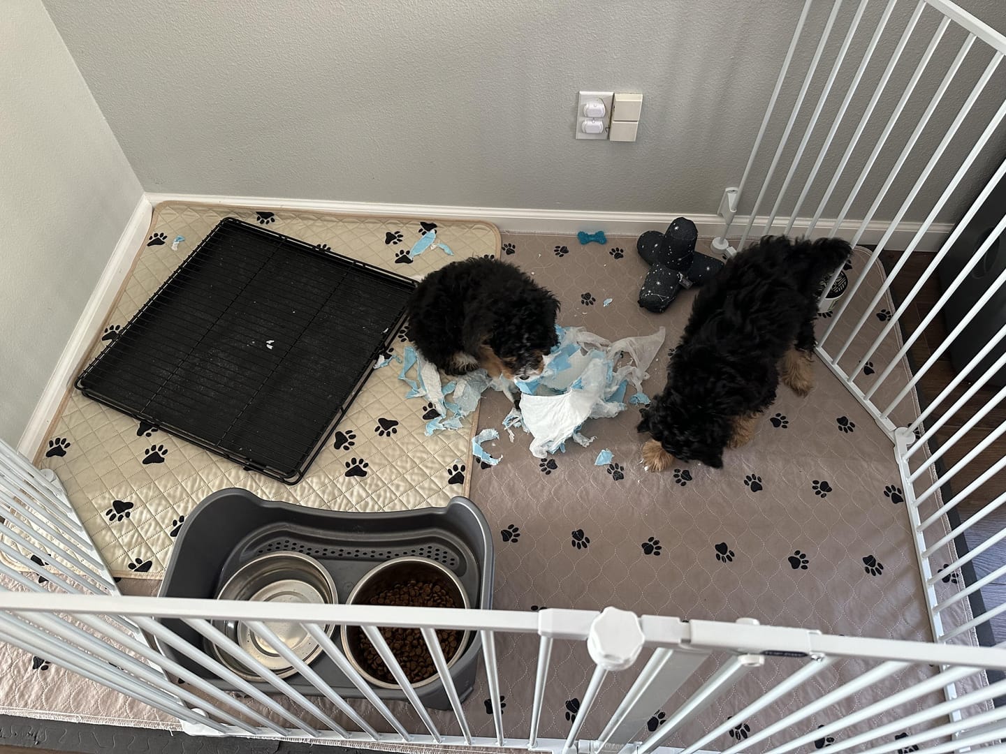 Customer photo review of Little Wolves Potty Tray 22" x 22"