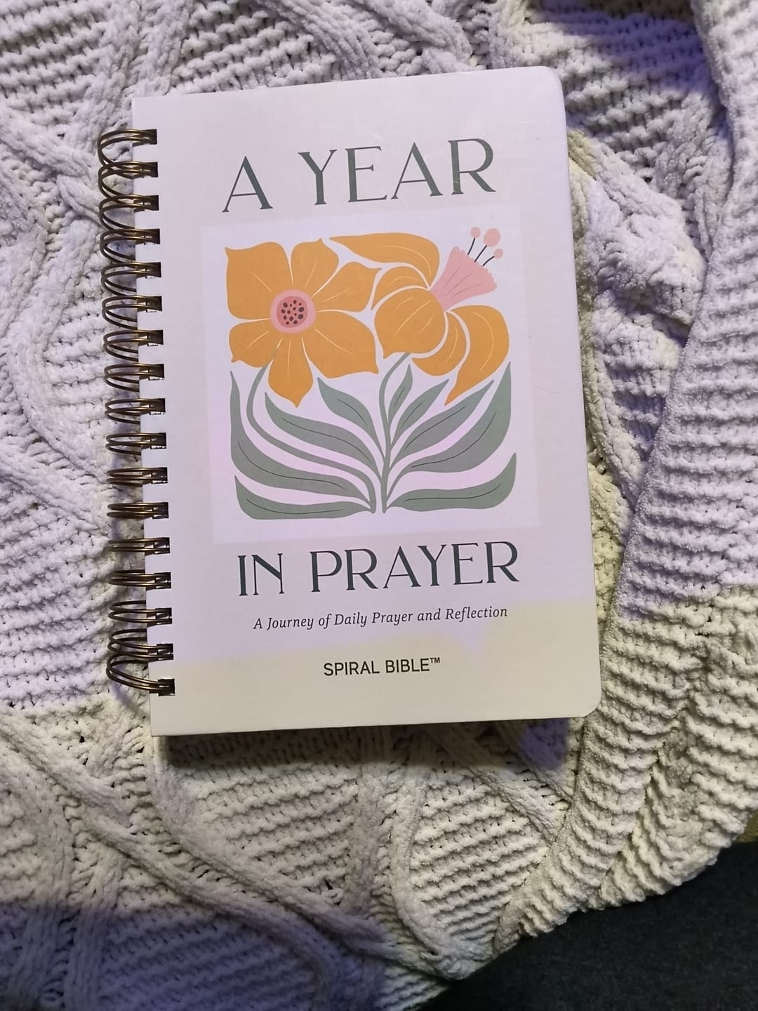 Customer photo review of A Year In Prayer: A Journey of Daily Prayer and Reflection