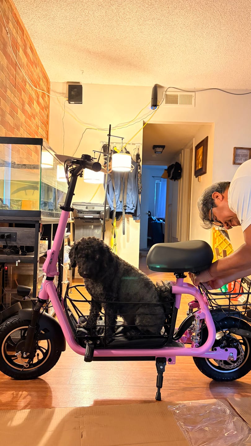 Customer photo review of Gyroor C1 Pro 800W Scooter – Dual Baskets for Cargo & Pets