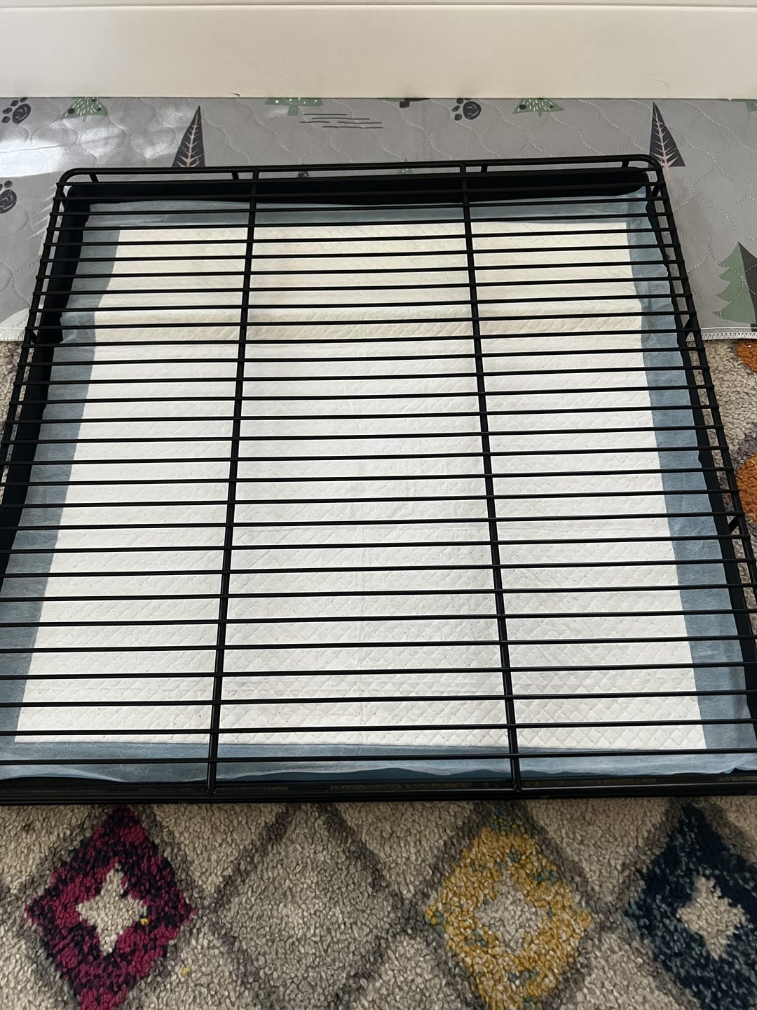 Customer photo review of Little Wolves Potty Tray 22" x 22"