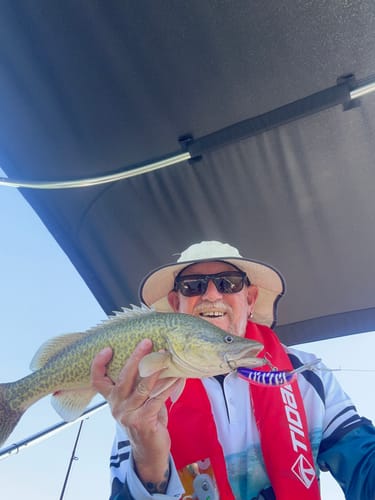 Customer photo review of Old Mate Lures - 15ft