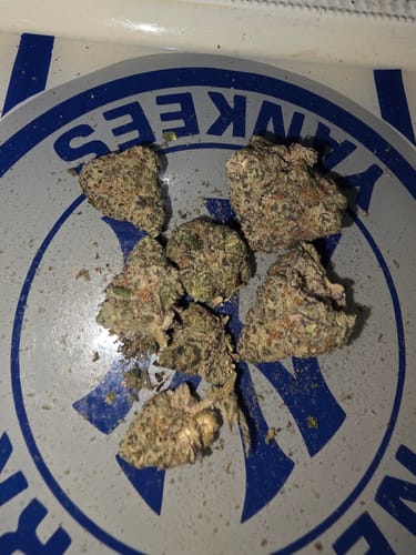 Customer photo review of Rainbow Inferno